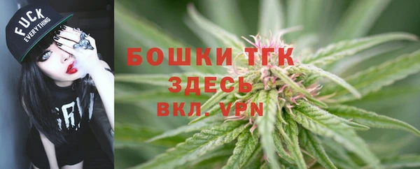 твердый Абаза